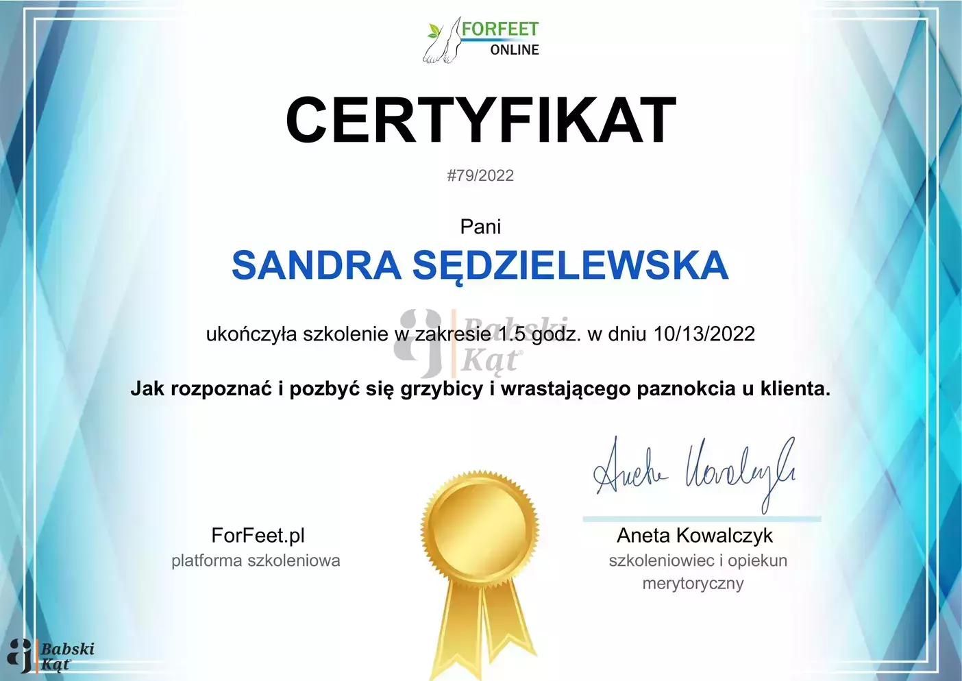 1013v2___Certyfikat_ukonczenia_szkolenia__Sandra_Sedzielewska_2